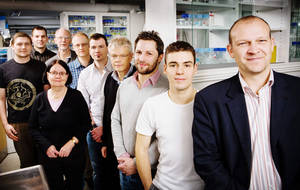 All authors