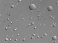 Micrometer-sized protein rich droplets