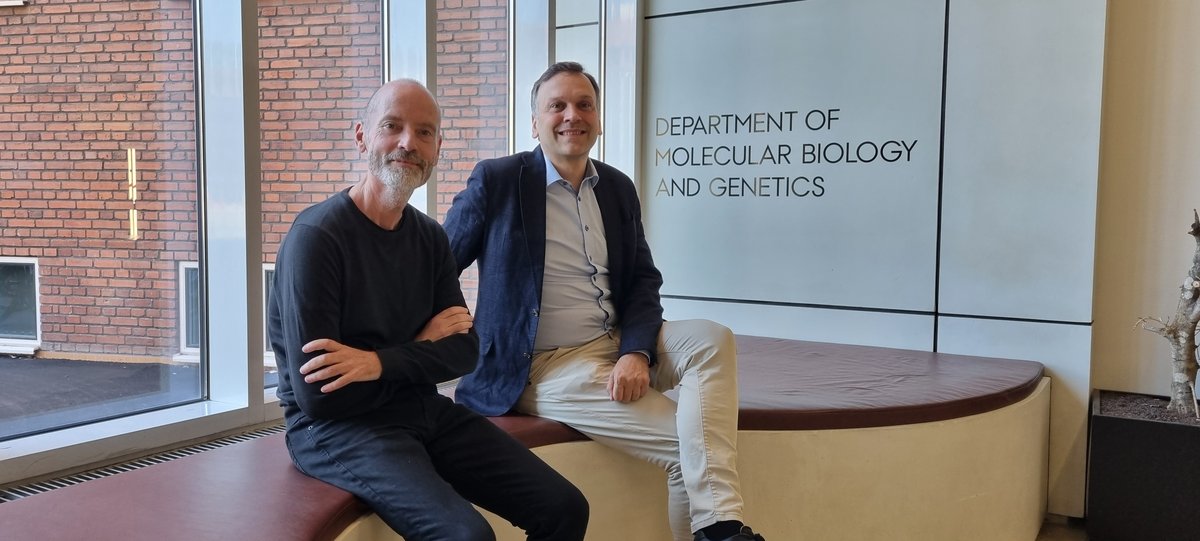 International recognition for Aarhus researchers: RNA science takes off