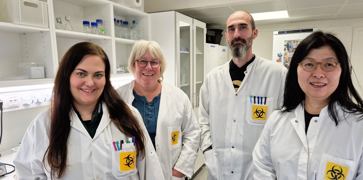 [Translate to English:] 