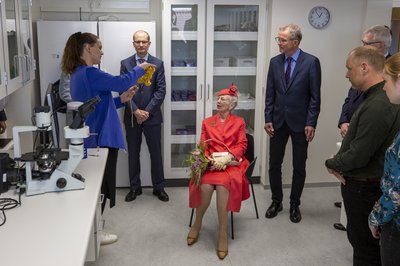 besøg af dronningen