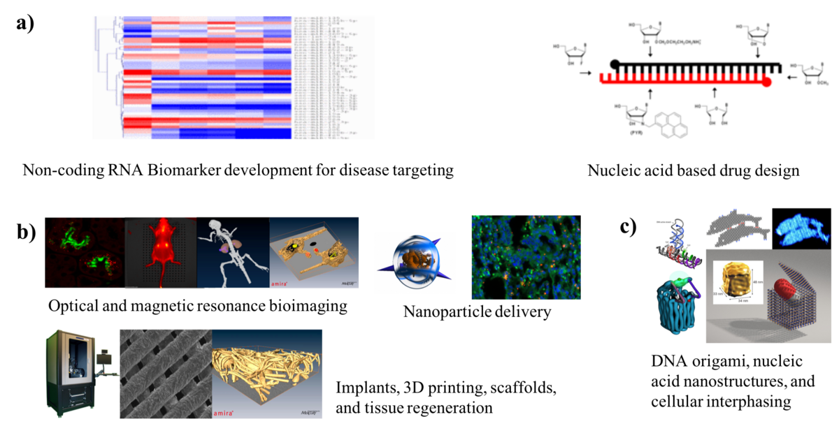 Picture of the different research areas