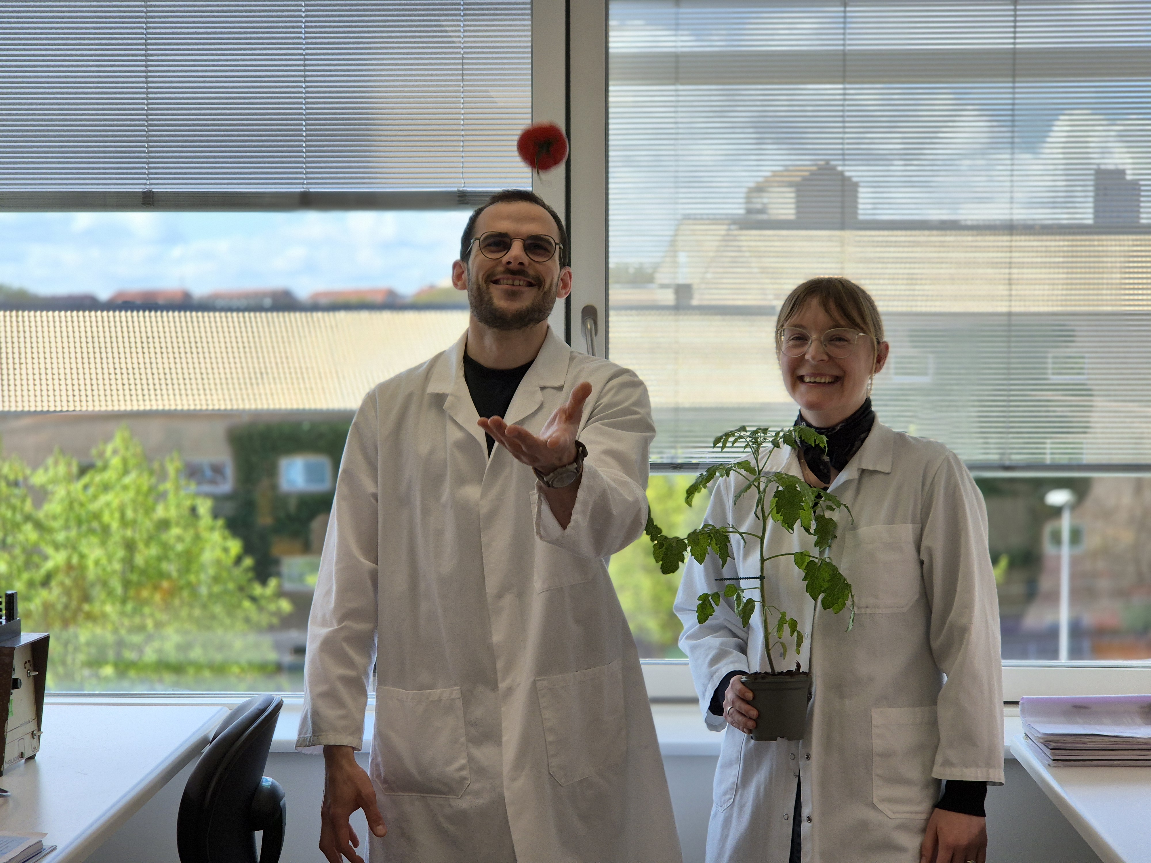 [Translate to English:] 