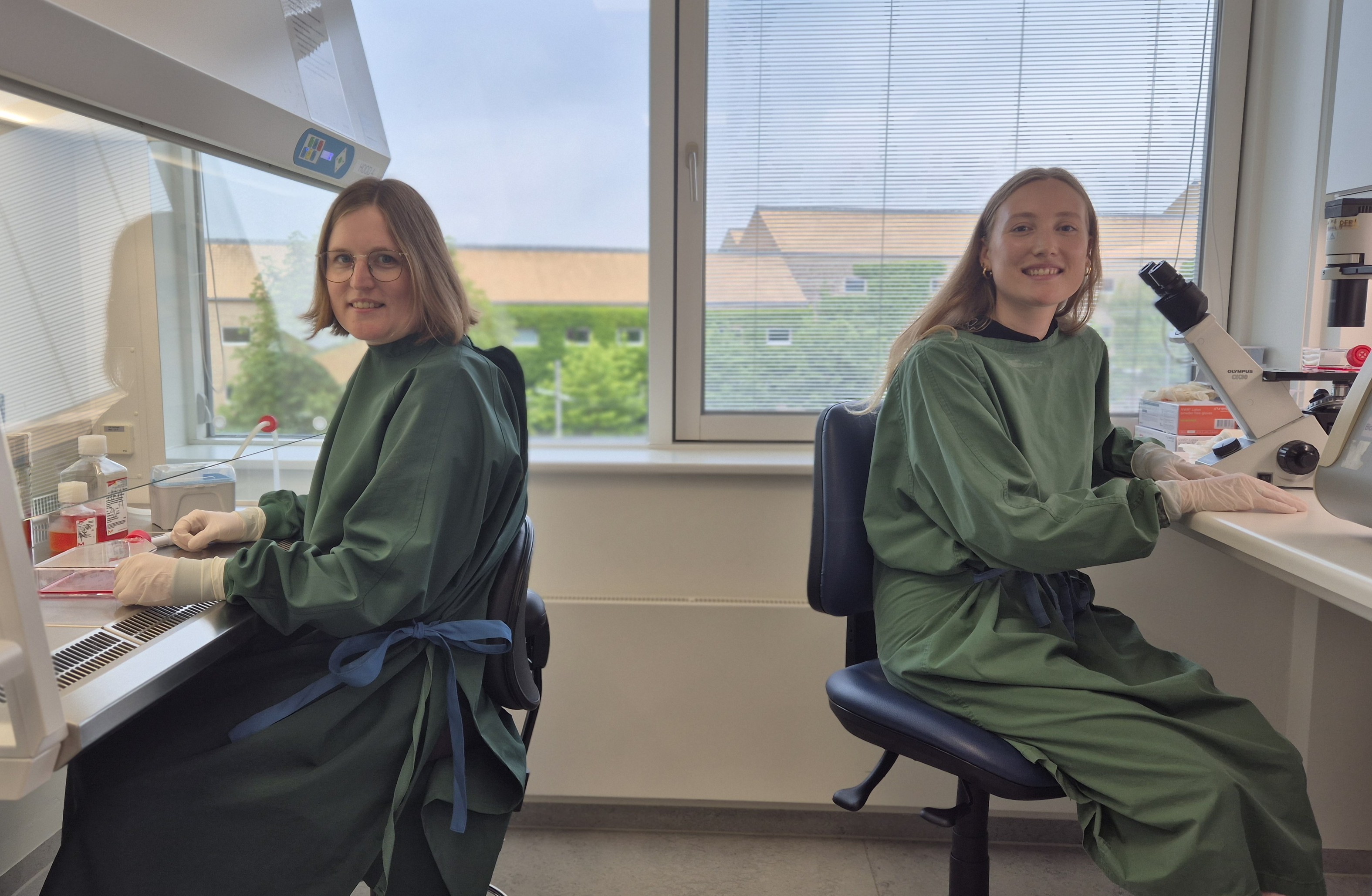 [Translate to English:] 