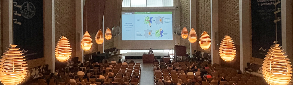  årsmøde
