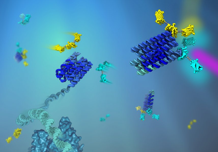 En kunstnerisk gengivelse af RNA polymerase